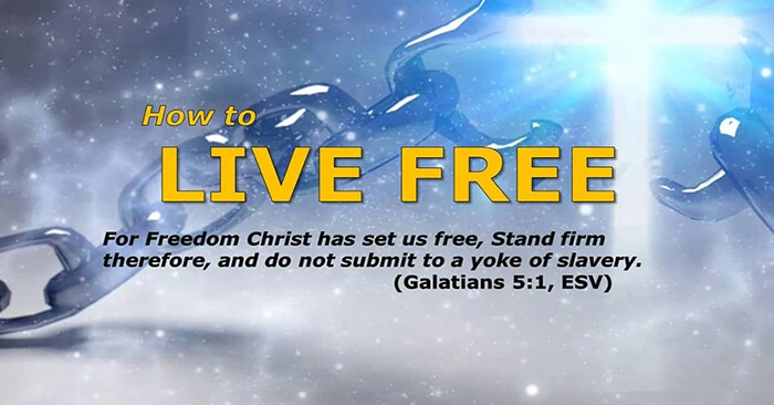 How To Live Free Series North Point Church in Coon Rapids, MN